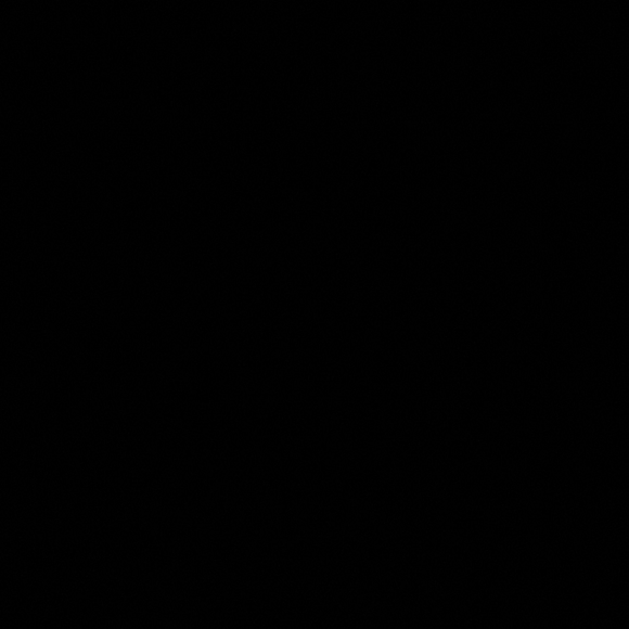 Jacket - Picture 5 of 6